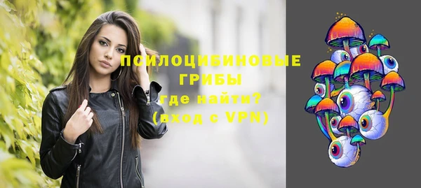 стафф Абинск