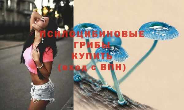 прущая мука Надым