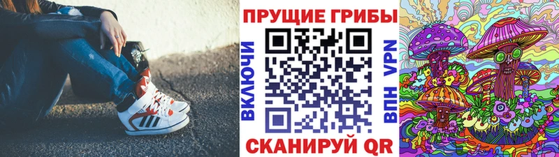купить закладку  Тюмень  mega ссылки  Псилоцибиновые грибы Cubensis 