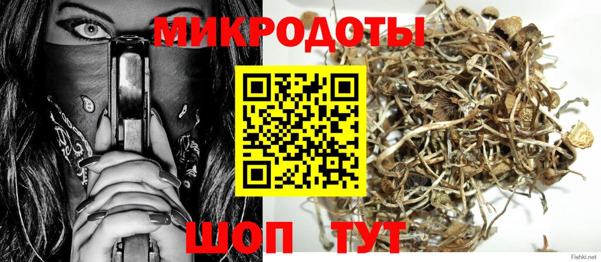 Псилоцибиновые грибы Psilocybe  Вход с VPN  как найти наркотики  Тюмень 