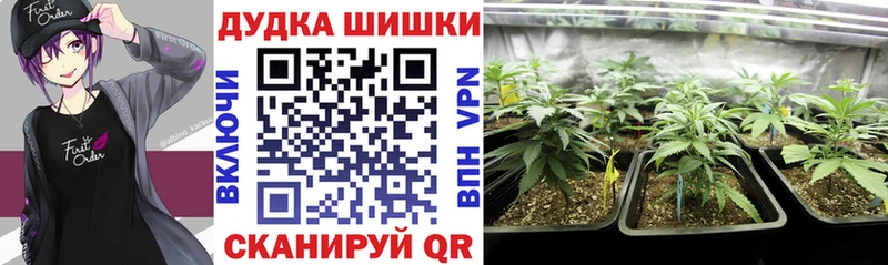 Бошки Шишки планчик  MEGA ТОР  Тюмень 